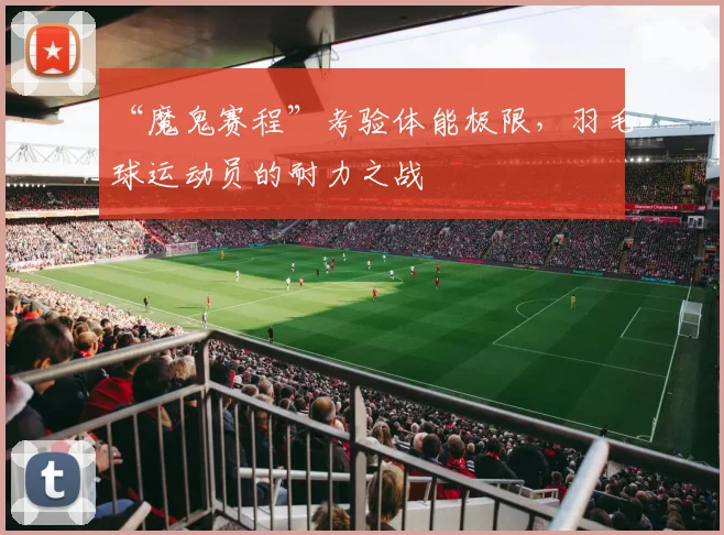 “魔鬼赛程”考验体能极限，羽毛球运动员的耐力之战