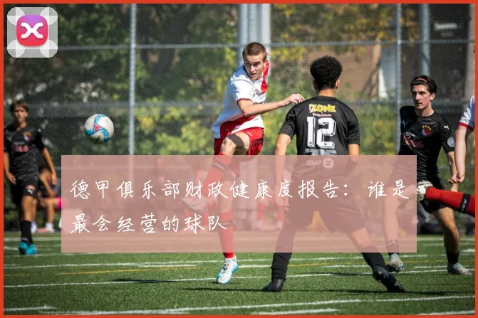 德甲俱乐部财政健康度报告：谁是最会经营的球队