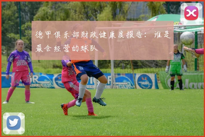 德甲俱乐部财政健康度报告：谁是最会经营的球队